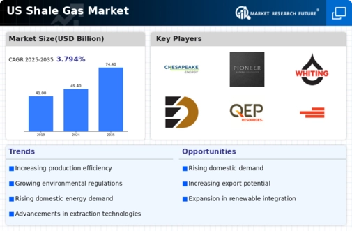 US Shale Gas Market Infographic
