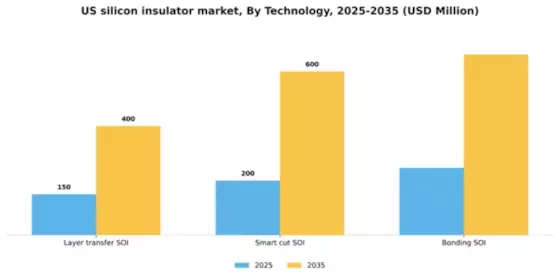 US Silicon Insulator Market Segment Image 1