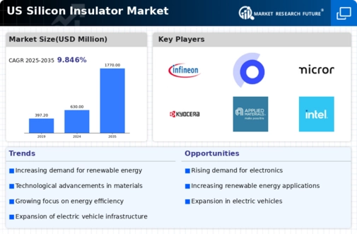 US Silicon Insulator Market Infographic