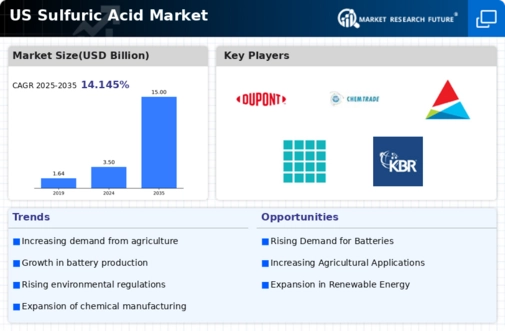 US Sulfuric Acid Market Infographic
