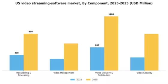US Video Streaming Software Market Segment Image 0