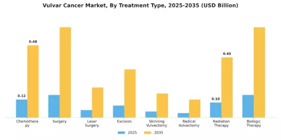 Vulvar Cancer Market Segment Image 1