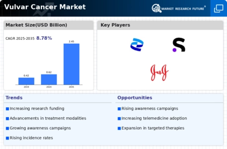 Vulvar Cancer Market Infographic