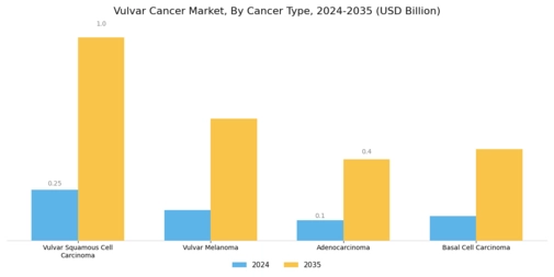 Vulvar Cancer Market Segment Image 0