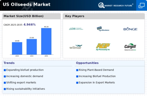 US Oilseeds Market Infographic