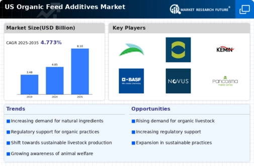 US Organic Feed Additives Market Infographic