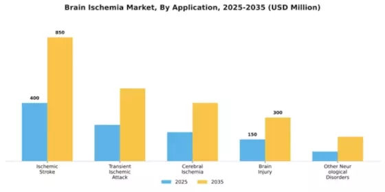 Brain Ischemia Market Segment Image 0