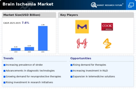 Brain Ischemia Market Infographic