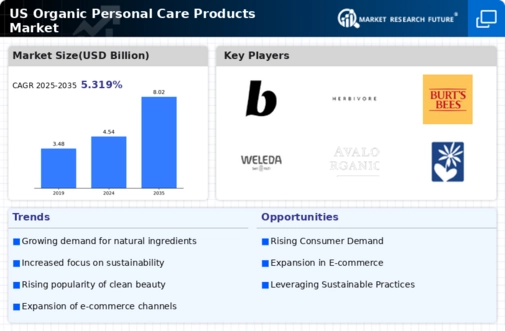 US Organic Personal Care Products Market Infographic
