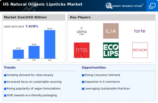 US Natural Organic Lipsticks Market Infographic