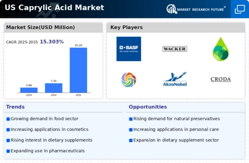 US Caprylic Acid Market Infographic