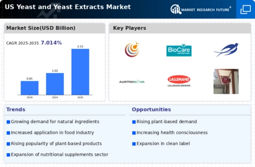 US Yeast and Yeast Extracts Market Infographic