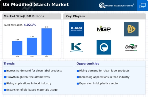 US Modified Starch Market Infographic