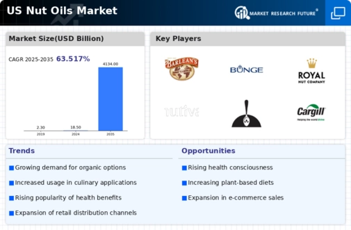 US Nut Oils Market Infographic