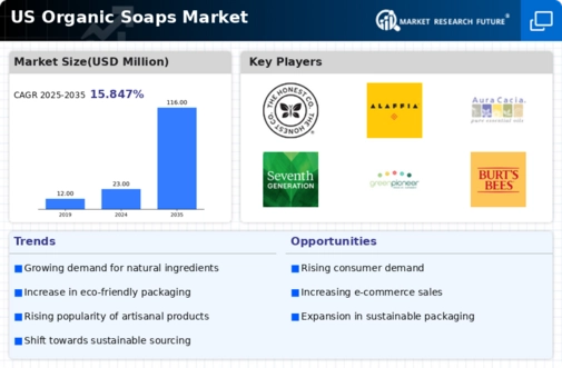 US Organic Soaps Market Infographic