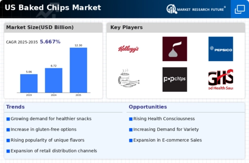 US Baked Chips Market Infographic