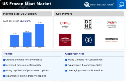 US Frozen Processed Meat Market Infographic