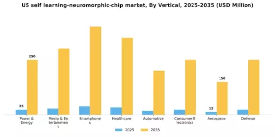 US Self Learning Neuromorphic Chip Market Segment Image 1