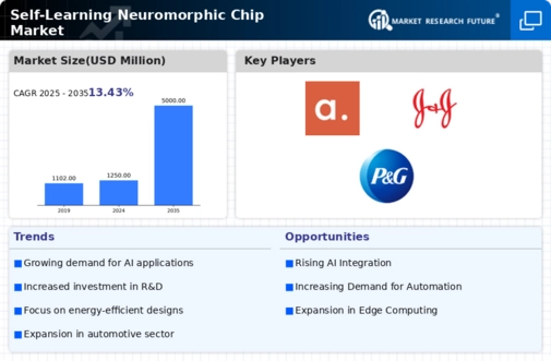 US Self Learning Neuromorphic Chip Market Infographic