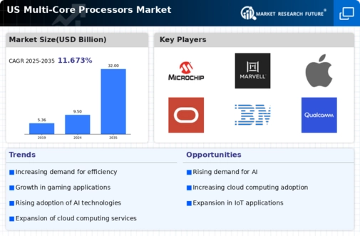 US Multi-Core Processors Market Infographic