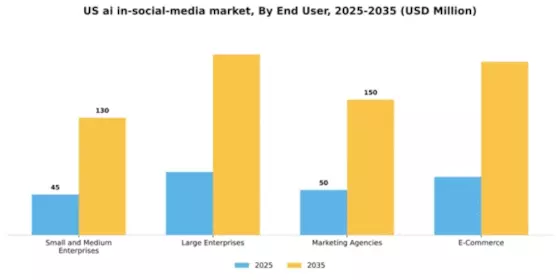 US AI in Social Media Market Segment Image 2