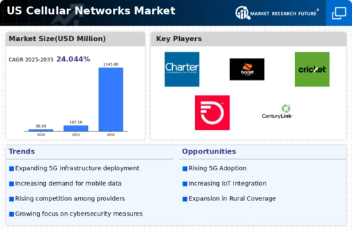 US Cellular Networks Market Infographic