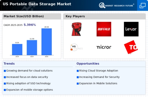 US Portable Data Storage Market Infographic