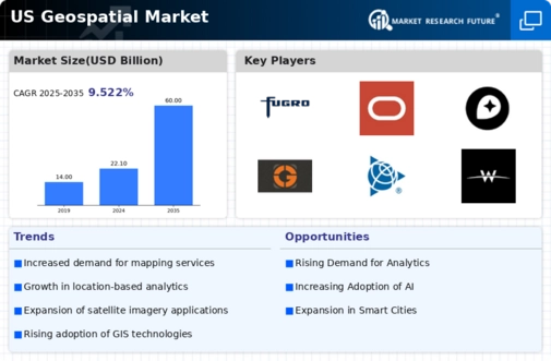 US Geospatial Imagery Analytics Market Infographic