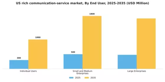 US Rich Communication Service Market Segment Image 2