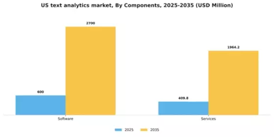 US Text Analytics Market Segment Image 1