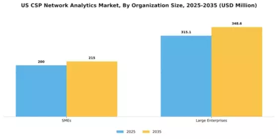 US CSP Network Analytics Market Segment Image 3