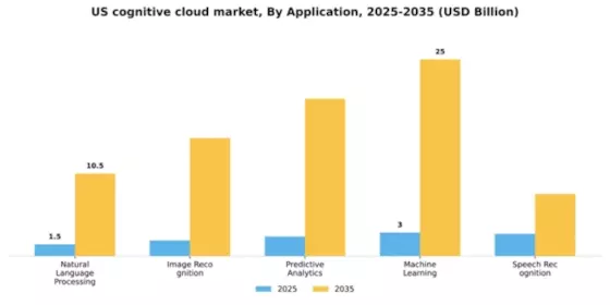 US Cognitive Cloud Market Segment Image 0