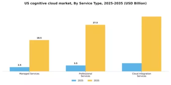 US Cognitive Cloud Market Segment Image 3