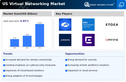US Virtual Networking Market Infographic