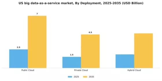 US Big Data as a Service Market Segment Image 0