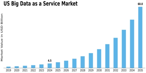 US Big Data as a Service Market Size