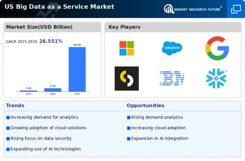 US Big Data as a Service Market Infographic