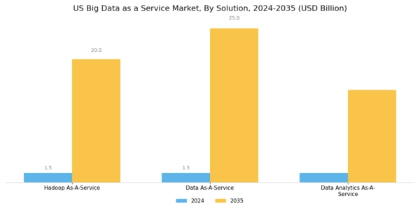 US Big Data as a Service Market Segment Image 0