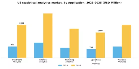 US Statistical Analytics Market Segment Image 0
