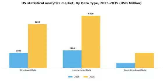US Statistical Analytics Market Segment Image 1