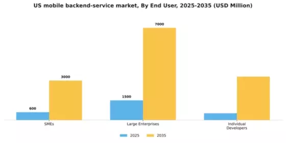 US Mobile Backend Service Market Segment Image 1