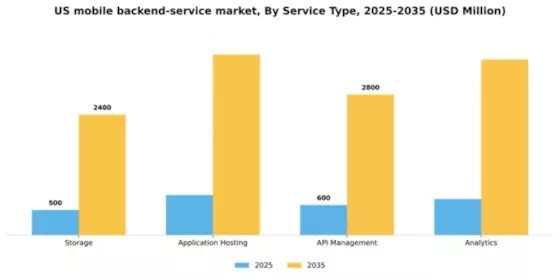 US Mobile Backend Service Market Segment Image 3