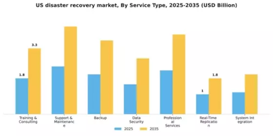 US Disaster Recovery Service Market Segment Image 1