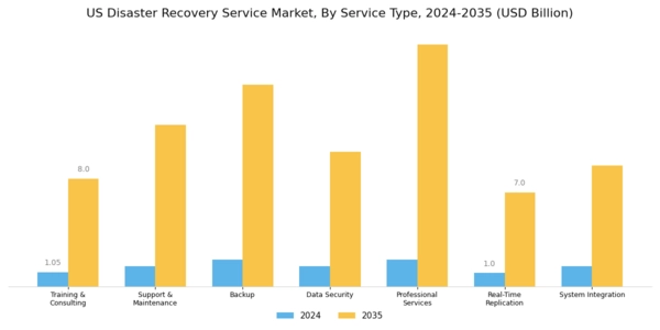 US Disaster Recovery Service Market Segment Image 0
