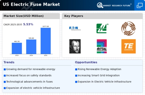 US Electric Fuse Market Infographic
