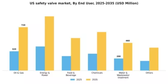 US Safety Valve Market Segment Image 0