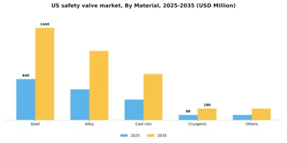 US Safety Valve Market Segment Image 1