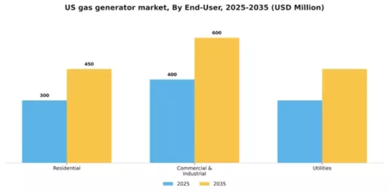 US Gas Generator Market Segment Image 0