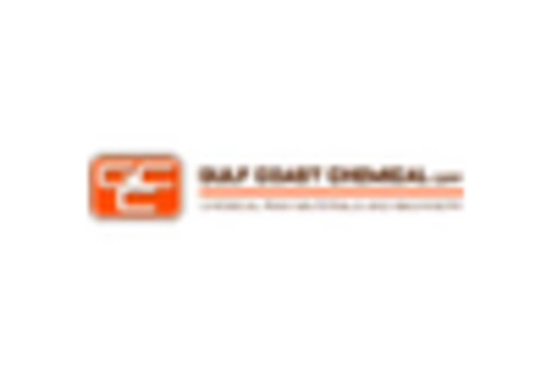 US Magnesium Sulphate Market key player