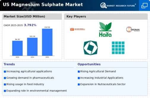 US Magnesium Sulphate Market Infographic